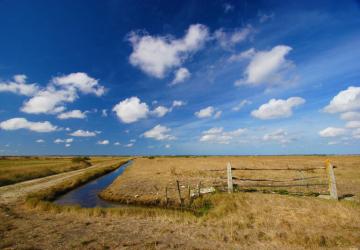 Marais de la Seudre