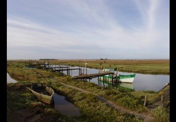 Marais de la Seudre