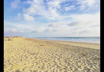 plage vertbois