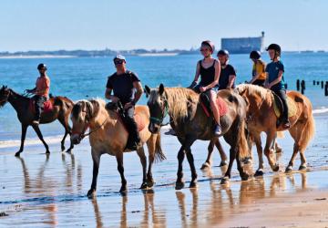 Les Cavaliers du Fort Boyard