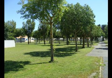 Camping municipal le Planginot