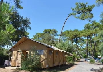 Camping Les Pins d'Oléron_Le Grand-Village-Plage