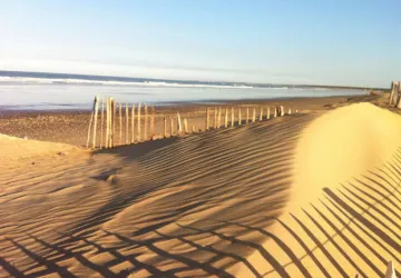 Camping Les Pins d'Oléron_Le Grand-Village-Plage