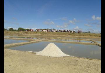 Salines en fête