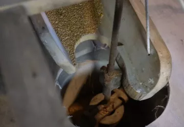 Démonstrations de meunerie au Moulin des Loges_Saint-Just-Luzac
