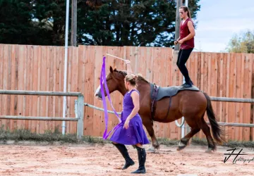 Les Écuries De Laguivari