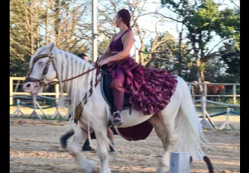 Les Écuries De Laguivari