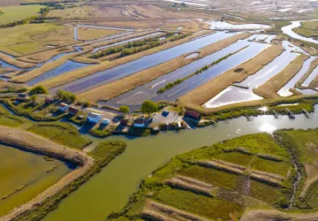 Circuit pédestre: Balade entre Petit Nieulle et Grand Nieulle_Nieulle-sur-Seudre