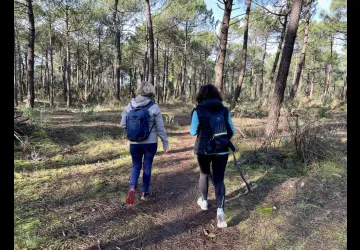 Circuit Saint-Trojan-les-Bains, la forêt domaniale_Dolus-d'Oléron