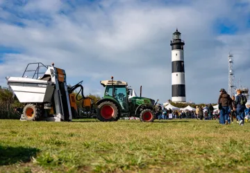 Fête des Vendanges et du Terroir_Saint-Denis-d'Oléron