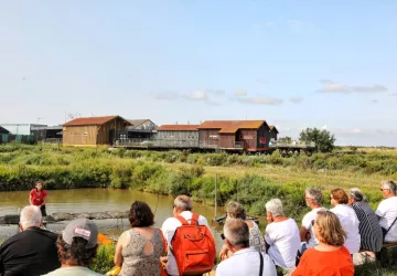 Le mois des écaillers à la Cité de l'huître_Marennes-Hiers-Brouage