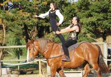 Spectacle équestre