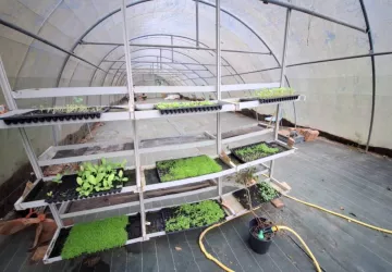 Les jardins de l'âme cham