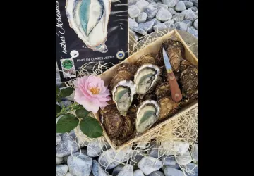 Huîtres Gilles Massé_Dolus-d'Oléron