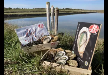 Huîtres Gilles Massé_Dolus-d'Oléron