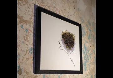 Exposition d'illustrations de Chloé PENAVAIRE SIMON