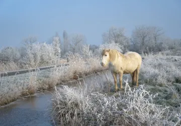 Exposition de photographie