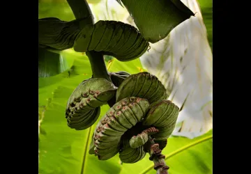 Exposition de photographie