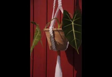 Escale créative : "Attrapes-rêves en macramé" avec Louise de How You Doing_Saint-Denis-d'Oléron