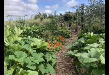 jardin