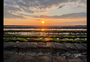 La cabane au drapeau_Le Château-d'Oléron