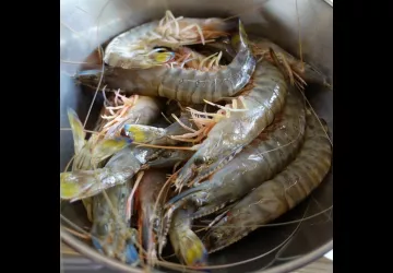 La Rabale_Marennes-Hiers-Brouage