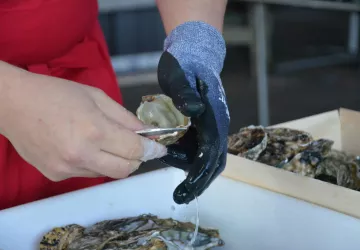 concours des ecaillers