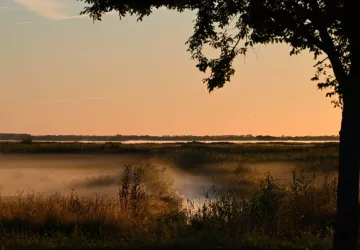 Randonnée nature dans le marais de Brouage