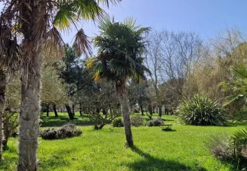 Domaine La Cabane_Saint-Pierre-d'Oléron