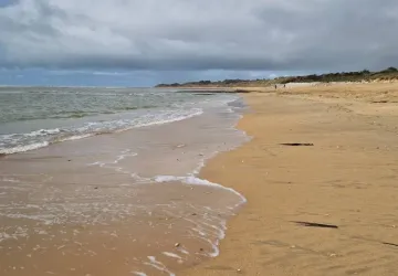 Domaine La Cabane_Saint-Pierre-d'Oléron