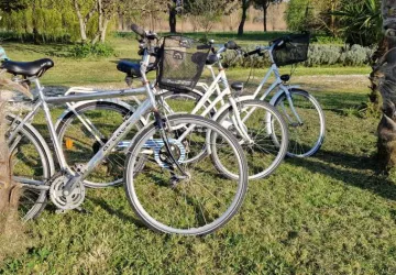 Domaine La Cabane_Saint-Pierre-d'Oléron