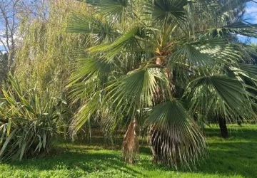Domaine La Cabane_Saint-Pierre-d'Oléron