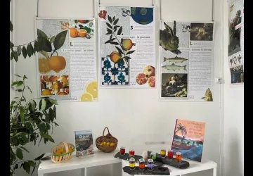 Exposition - Voyage autour du goût Exposition - Voyage autour du goût_Saint-Trojan-les-Bains