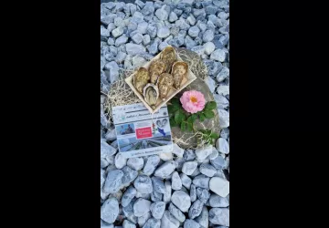 Huîtres Massé_Dolus-d'Oléron