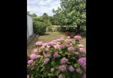 Meublée de Mr et Mme  Dervieux : Paulette_La Brée-les-Bains