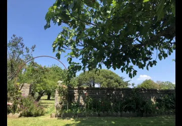 Meublée de Mr et Mme  Dervieux : Paulette_La Brée-les-Bains