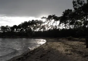 Exposition de photographies Ludivine Watbled_Saint-Trojan-les-Bains