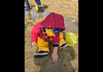 P'tite pêche à pied_Saint-Pierre-d'Oléron