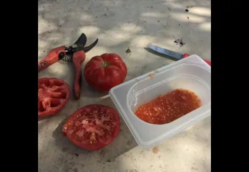 Visite et atelier aux jardins de l'APO_Saint-Trojan-les-Bains