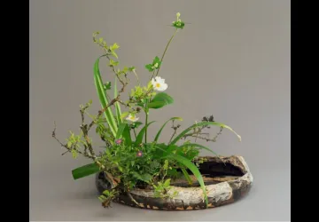Atelier Ikebana