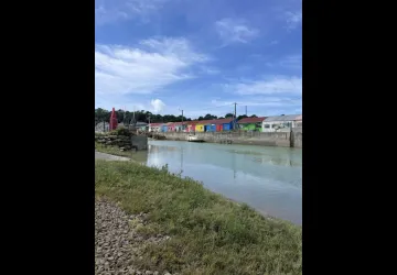 Marché artisanal du Mimosa_Saint-Trojan-les-Bains