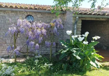 Le Clos des Agapanthes