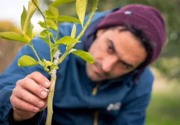 Visite et atelier au jardin de l'APO_Saint-Trojan-les-Bains
