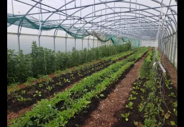 Visite et atelier au jardin de l'APO_Saint-Trojan-les-Bains