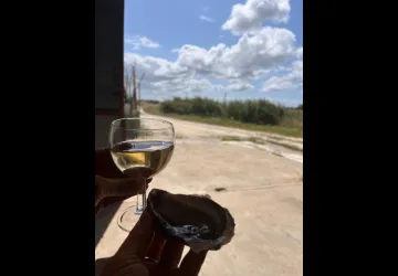 Ferme Marine d'Artouan_Saint-Just-Luzac