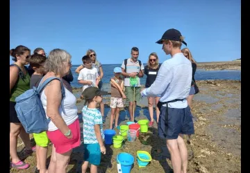 Pêche à pied écologique - L'Ecuissière_Dolus-d'Oléron