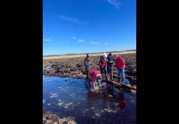 Randonnée sur estran rocheux : À l’assaut des rochers !