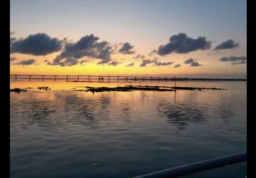 Huîtres Videau - Cabane de dégustation_Saint-Trojan-les-Bains