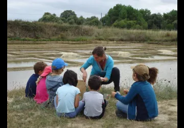 Atelier Land Art pour les 6-10 ans au Port des Salines