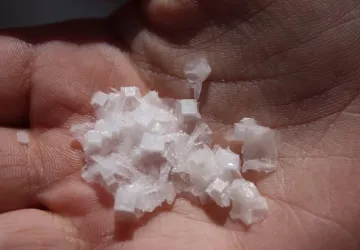 Atelier 4-6 ans le sel à petit pas au Port des Salines_Le Grand-Village-Plage